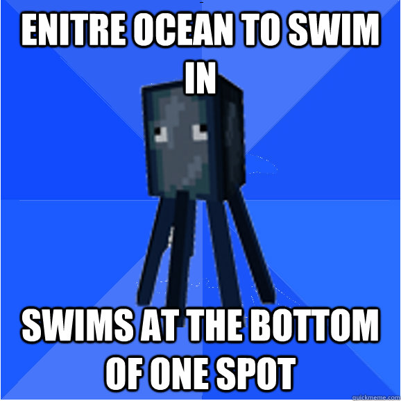 enitre ocean to swim in swims at the bottom of one spot  Socially Awkward Squid