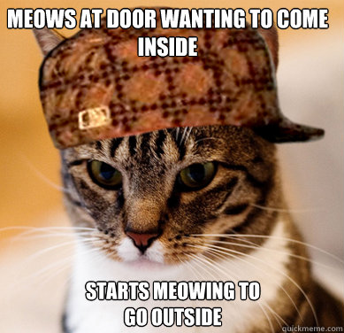 meows at door wanting to come inside starts meowing to go outside  Scumbag Cat