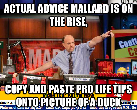 Actual Advice Mallard is on the rise, Copy and paste Pro life tiPs onto picture of a duck - Actual Advice Mallard is on the rise, Copy and paste Pro life tiPs onto picture of a duck  move your karma now