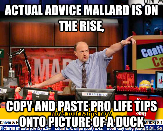 Actual Advice Mallard is on the rise, Copy and paste Pro life tiPs onto picture of a duck  move your karma now