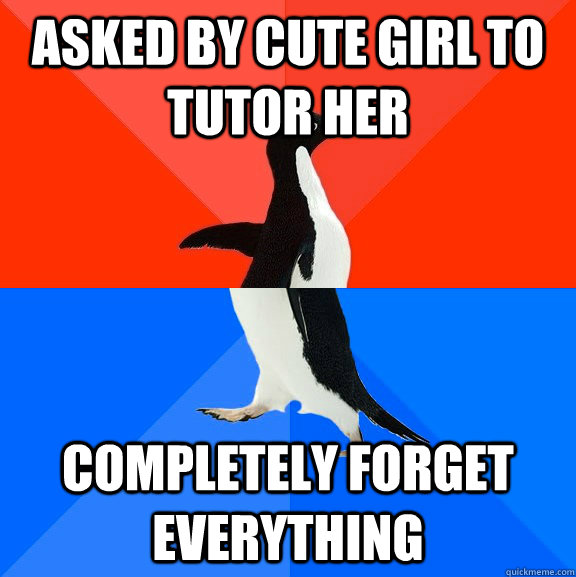 Asked by cute girl to tutor her completely forget everything  Socially Awesome Awkward Penguin