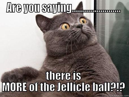 ARE YOU SAYING........................ THERE IS MORE OF THE JELLICLE BALL?!? conspiracy cat
