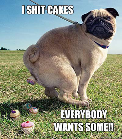 i shit cakes everybody wants some!! - i shit cakes everybody wants some!!  agreeable pug