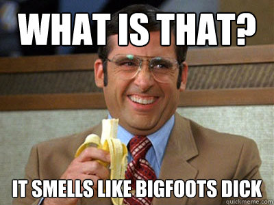 what is that? it smells like bigfoots dick  Brick Tamland