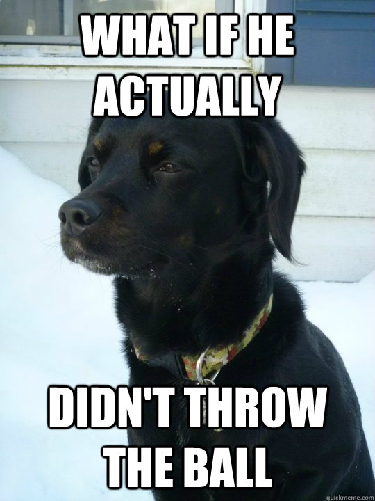 what if he actually didn't throw the ball - what if he actually didn't throw the ball  Philosophical Puppy