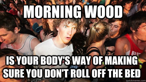 morning wood is your body's way of making sure you don't roll off the bed - morning wood is your body's way of making sure you don't roll off the bed  Sudden Clarity Clarence