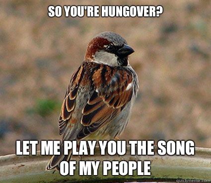 So you're hungover? Let me play you the song of my people   