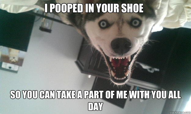 I pooped in your shoe So you can take a part of me with you all day - I pooped in your shoe So you can take a part of me with you all day  Overly Attached Dog