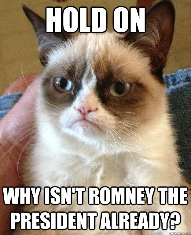 Hold on why isn't romney the president already?  Grumpy Cat