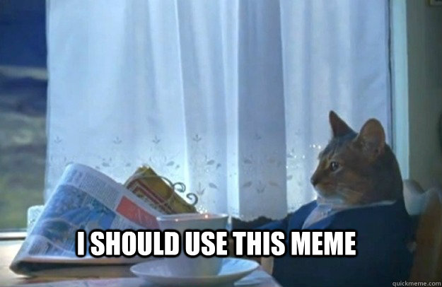 I should use this meme - I should use this meme  Sophisticated Cat