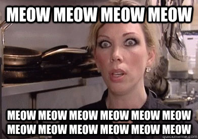 MEOW MEOW MEOW MEOW MEOW MEOW MEOW MEOW MEOW MEOW MEOW MEOW MEOW MEOW MEOW MEOW  Crazy Amy