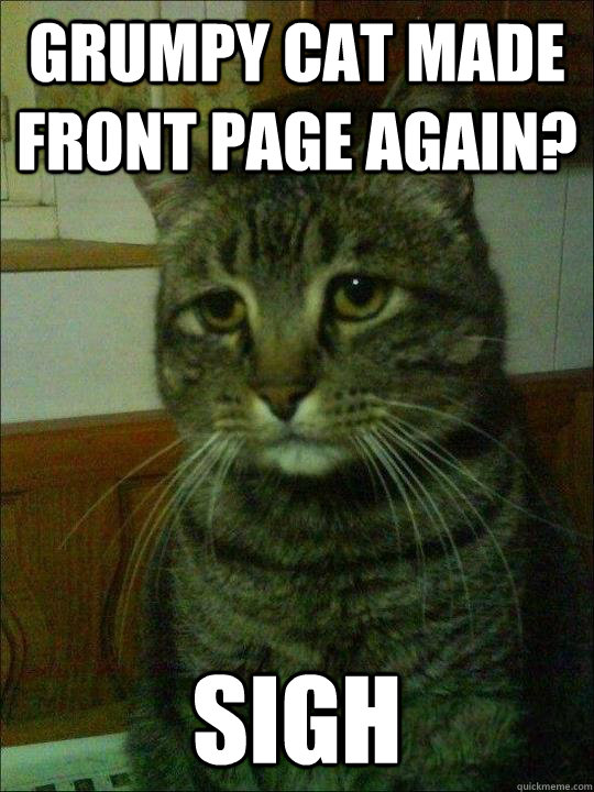 grumpy cat made front page again? sigh  