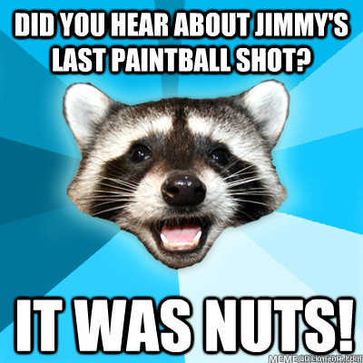 Did you hear about Jimmy's last paintball shot? it was nuts!  Lame Pun Raccoon