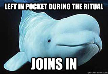 Left in pocket during The Ritual Joins in  Misbehavin Pocket Whale
