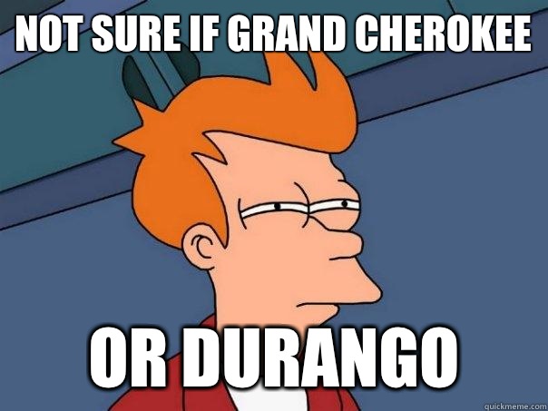 Not sure if grand Cherokee Or Durango  Futurama Fry