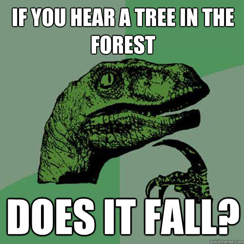 IF YOU HEAR A TREE IN THE FOREST DOES IT FALL?  Philosoraptor
