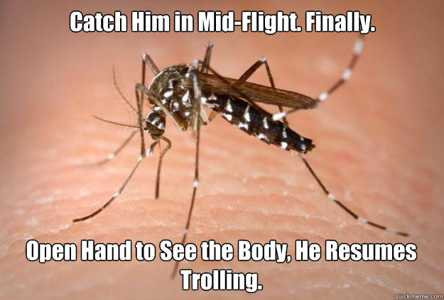 Catch Him in Mid-Flight. Finally. Open Hand to See the Body, He Resumes Trolling.  Master Troll Mosquito
