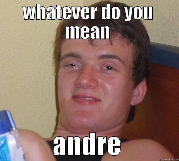 WHATEVER DO YOU MEAN ANDRE 10 Guy