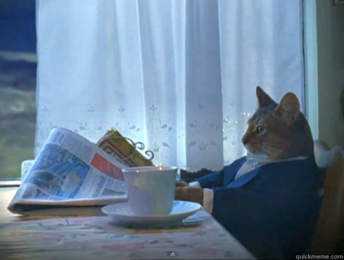    The One Percent Cat
