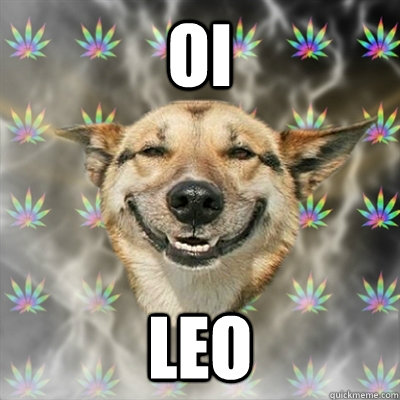 oi leo  Stoner Dog