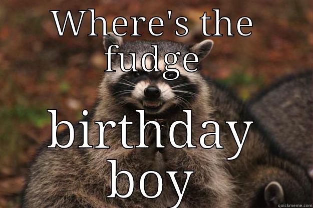 WHERE'S THE FUDGE BIRTHDAY BOY Evil Plotting Raccoon