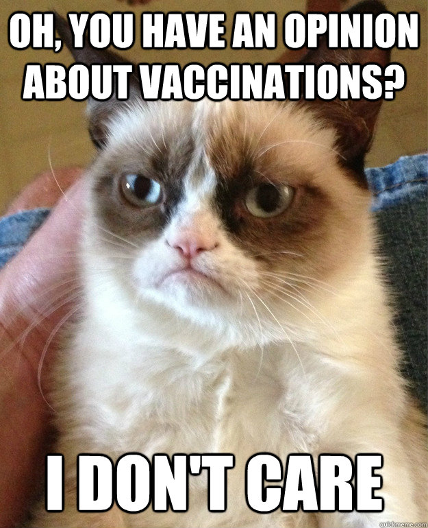 Oh, you have an opinion about vaccinations? I don't care  Grumpy Cat