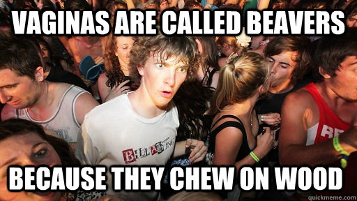 vaginas are called beavers because they chew on wood  Sudden Clarity Clarence