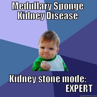 MEDULLARY SPONGE KIDNEY DISEASE KIDNEY STONE MODE:                                      EXPERT Success Kid