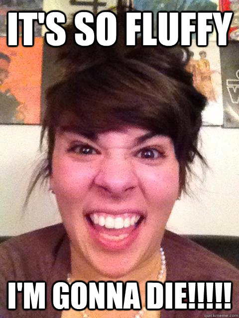 IT'S SO FLUFFY I'M GONNA DIE!!!!! - IT'S SO FLUFFY I'M GONNA DIE!!!!!  Misc