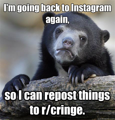 I'm going back to Instagram again, so I can repost things to r/cringe.  Confession Bear