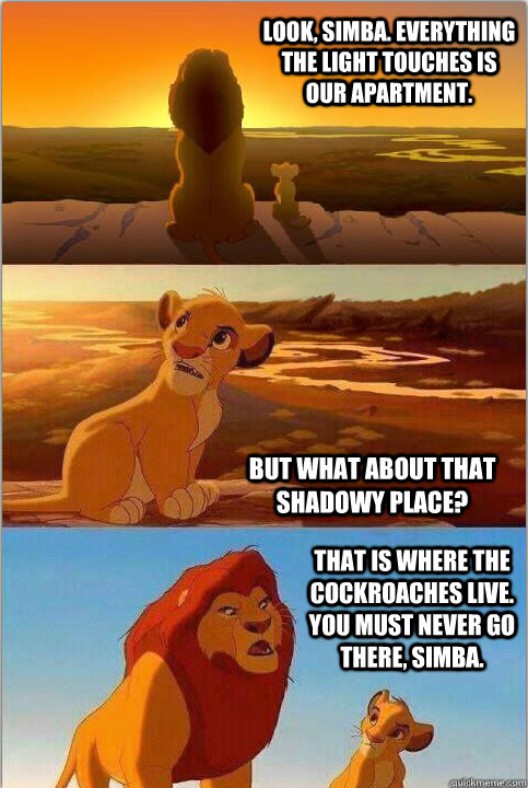 Look, Simba. Everything the light touches is our apartment. But what about that shadowy place? That is where the cockroaches live. You must never go there, Simba.  - Look, Simba. Everything the light touches is our apartment. But what about that shadowy place? That is where the cockroaches live. You must never go there, Simba.   Shadowy Place from Lion King