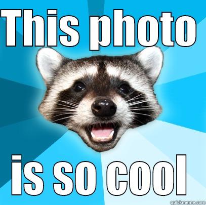 THIS PHOTO  IS SO COOL Lame Pun Coon