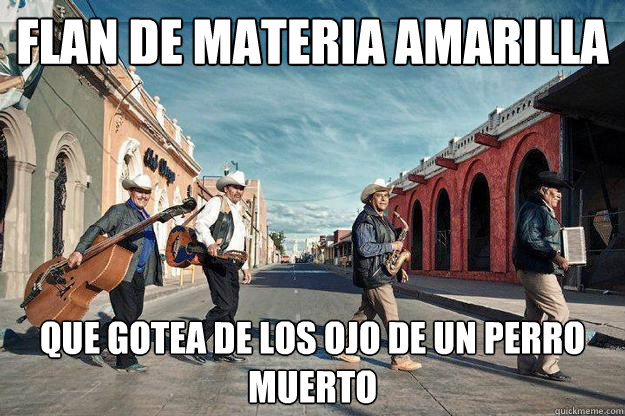 flan de materia amarilla que gotea de los ojo de un perro muerto - flan de materia amarilla que gotea de los ojo de un perro muerto  Mexican Beatles