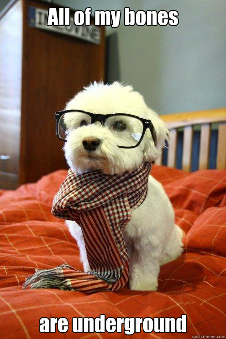 All of my bones are underground - All of my bones are underground  Hipster Dog