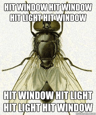 HIT WINDOW HIT WINDOW HIT LIGHT HIT WINDOW HIT WINDOW HIT LIGHT HIT LIGHT HIT WINDOW  Fly logic