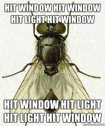 HIT WINDOW HIT WINDOW HIT LIGHT HIT WINDOW HIT WINDOW HIT LIGHT HIT LIGHT HIT WINDOW  