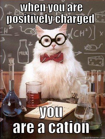 science cat 200 - WHEN YOU ARE POSITIVELY CHARGED  YOU ARE A CATION Chemistry Cat