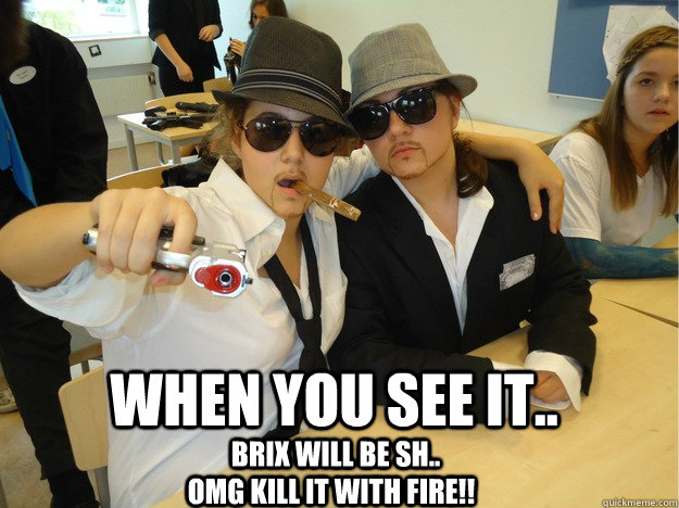 When you see it.. brix will be sh.. OMG KILL IT WITH FIRE!!  Shemale