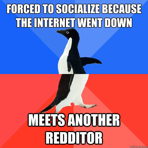 Forced to socialize because the internet went down Meets another redditor  Socially Awkward Awesome Penguin