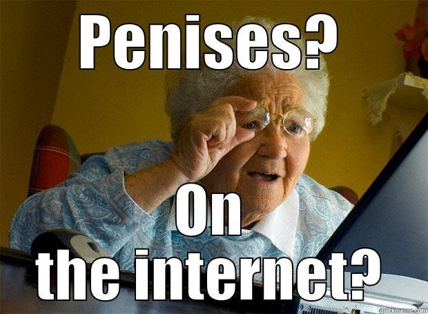 PENISES? ON THE INTERNET? Grandma finds the Internet