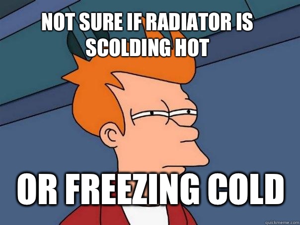 Not sure if radiator is scolding hot Or Freezing cold  Futurama Fry