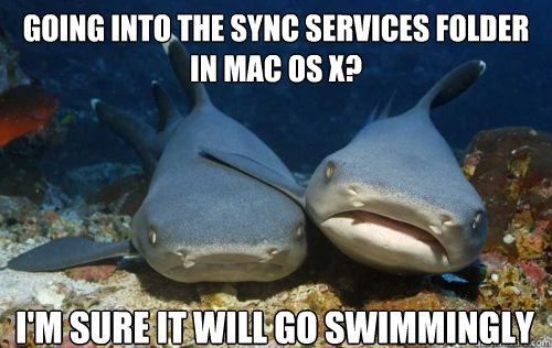 Going into the sync services folder in Mac OS X? I'm sure it will go swimmingly  Compassionate Shark Friend