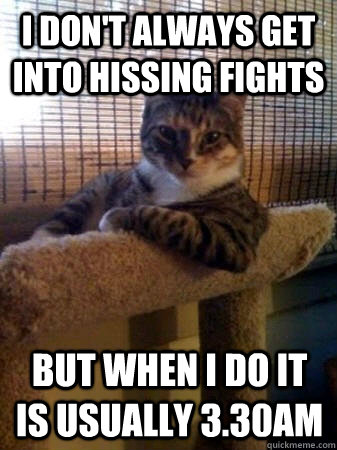 I don't always get into hissing fights But when i do it is usually 3.30am  The Most Interesting Cat in the World