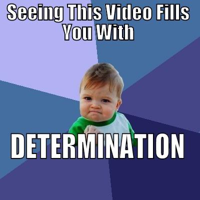 SEEING THIS VIDEO FILLS YOU WITH DETERMINATION Success Kid