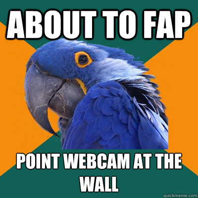 About to fap point webcam at the wall  Paranoid Parrot