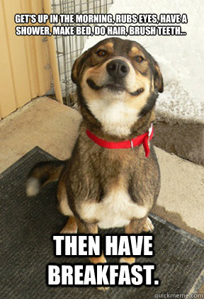 Get's up in the morning, rubs eyes, have a shower, make bed, do hair, brush teeth... THEN HAVE BREAKFAST. - Get's up in the morning, rubs eyes, have a shower, make bed, do hair, brush teeth... THEN HAVE BREAKFAST.  Good Dog Greg
