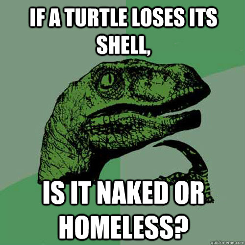 If a turtle loses its shell, Is it naked or homeless?  Philosoraptor