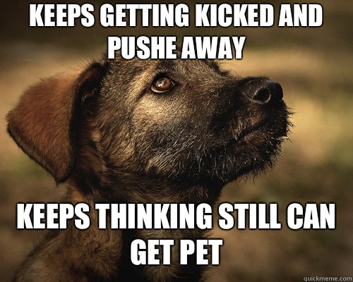 Keeps getting kicked and pushe away Keeps thinking still can get pet - Keeps getting kicked and pushe away Keeps thinking still can get pet  Hopelessly Optimistic Dog