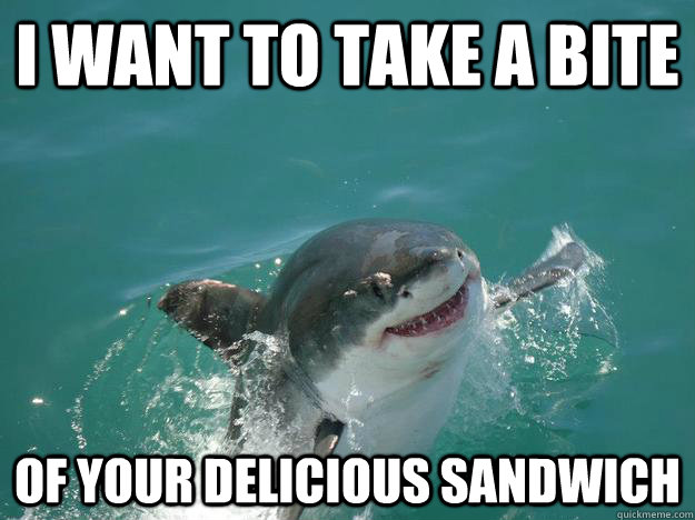 I WANt to take a bite of your delicious sandwich - I WANt to take a bite of your delicious sandwich  Misunderstood Shark