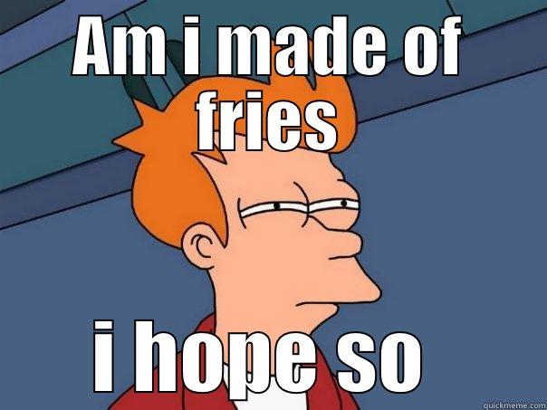 AM I MADE OF FRIES I HOPE SO  Futurama Fry